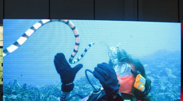 美股四次熔斷，會對室內全彩led顯示屏行業造成怎樣的影響呢